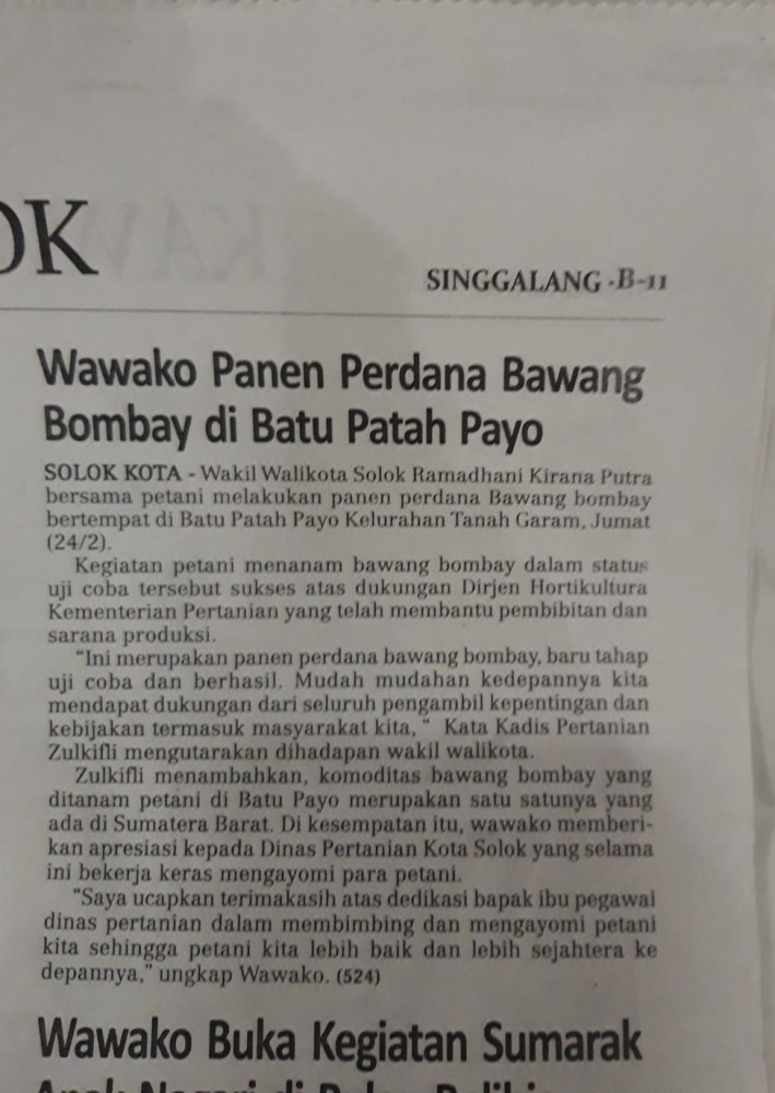 Wawako Panen Perdana Bawang Bombay di Batu Patah Payo