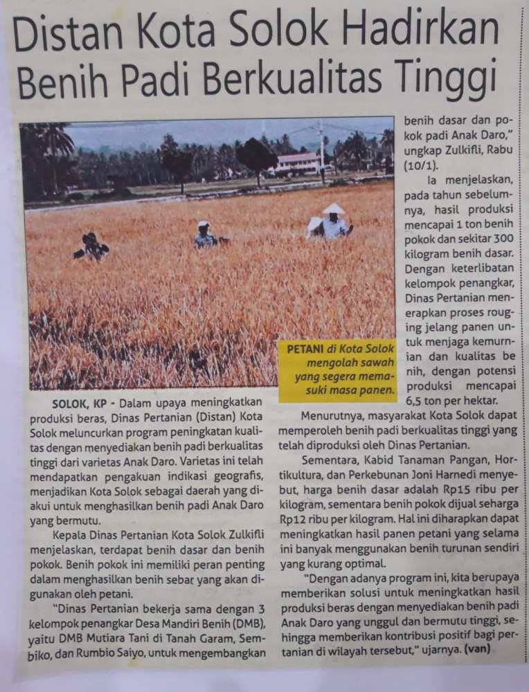 Distan Kota Solok Hadiri Benih Padi Berkualitas Tinggi