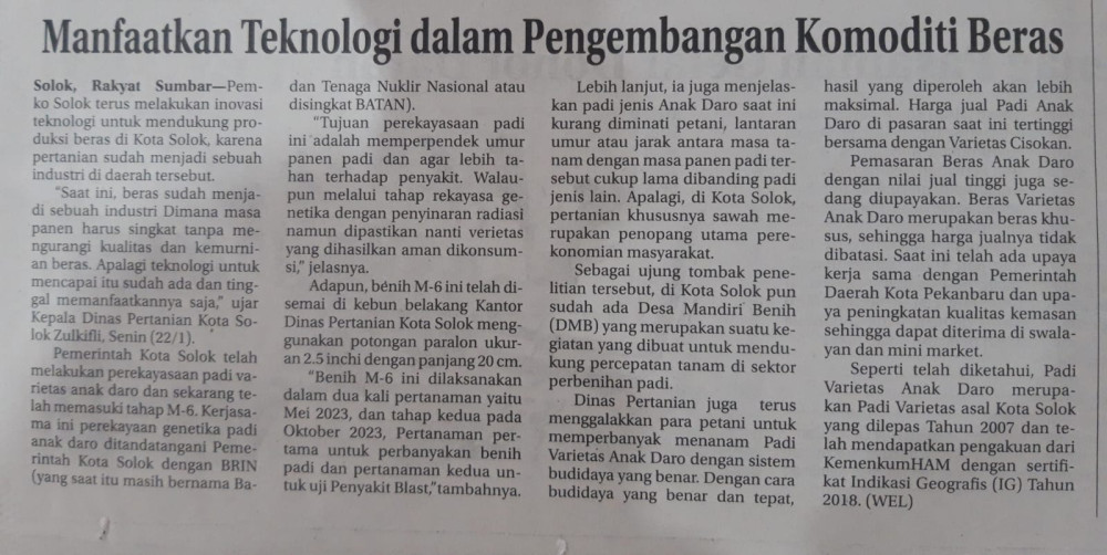 Manfaatkan Teknologi dalam Pengembangan Komoditi Beras