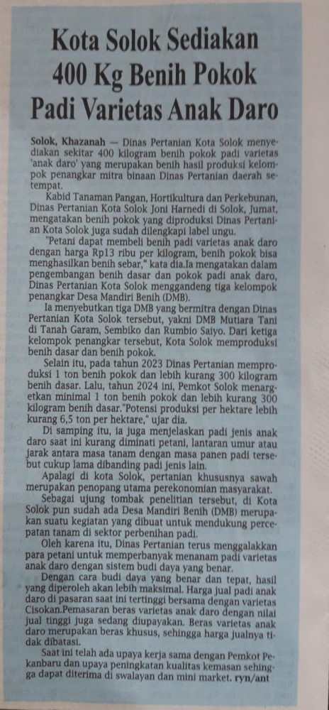 Kota Solok sediakan 400 kg Benih Pokok Padi varietes Anak Daro